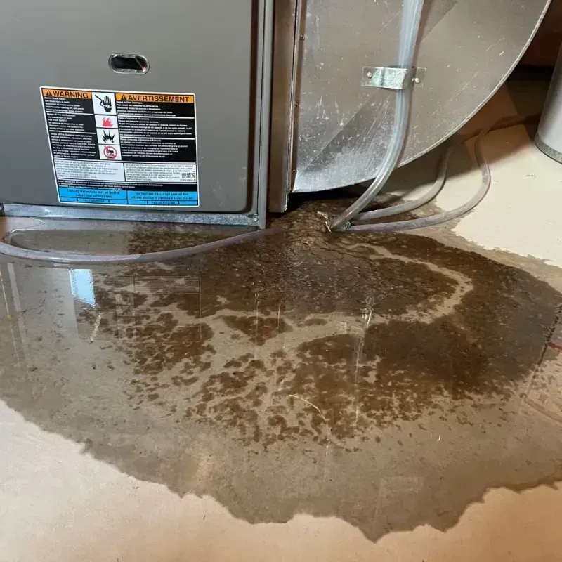 Appliance Leak Cleanup in Bulverde, TX